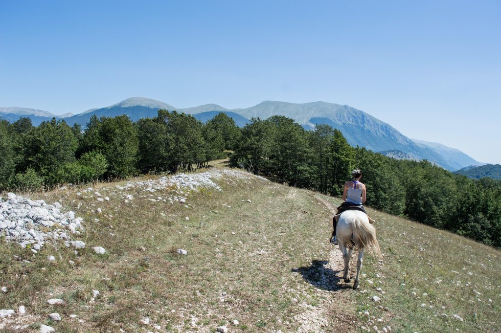 itinerari low cost fresco
