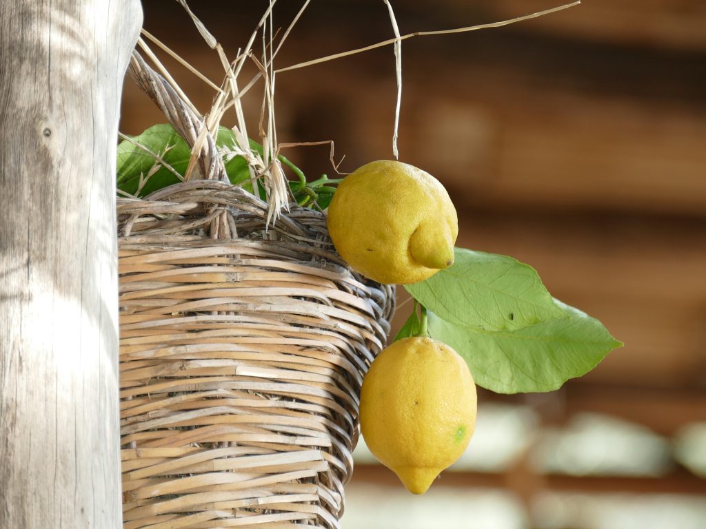 limoni amalfi