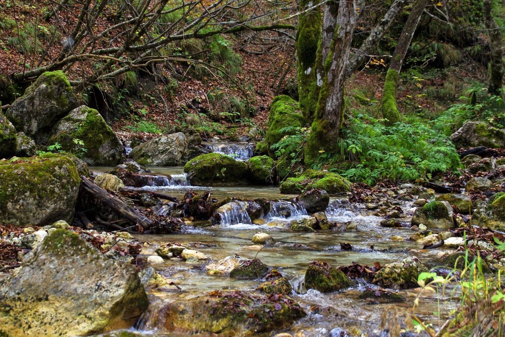foliage abruzzo
